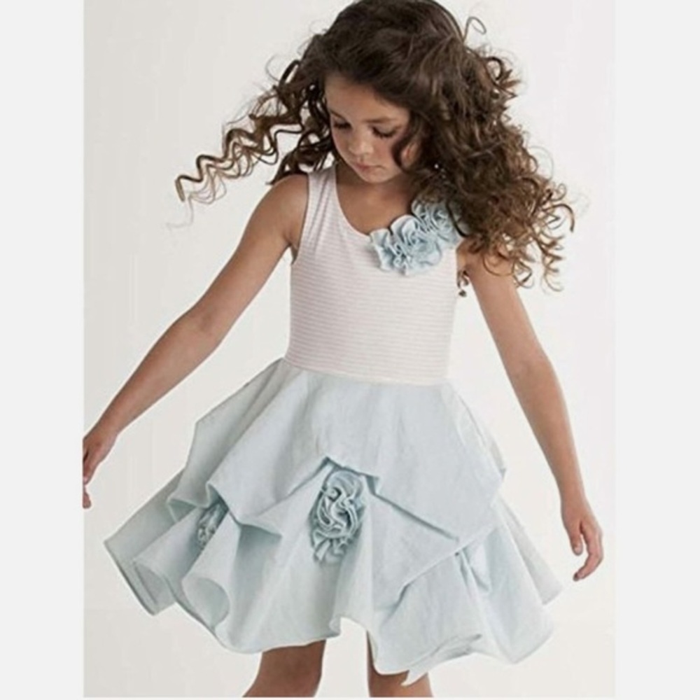 Biscotti Girls Sleeveless Stripe Knit Bodice Gathered Skirt Flowers Dress Sz 4